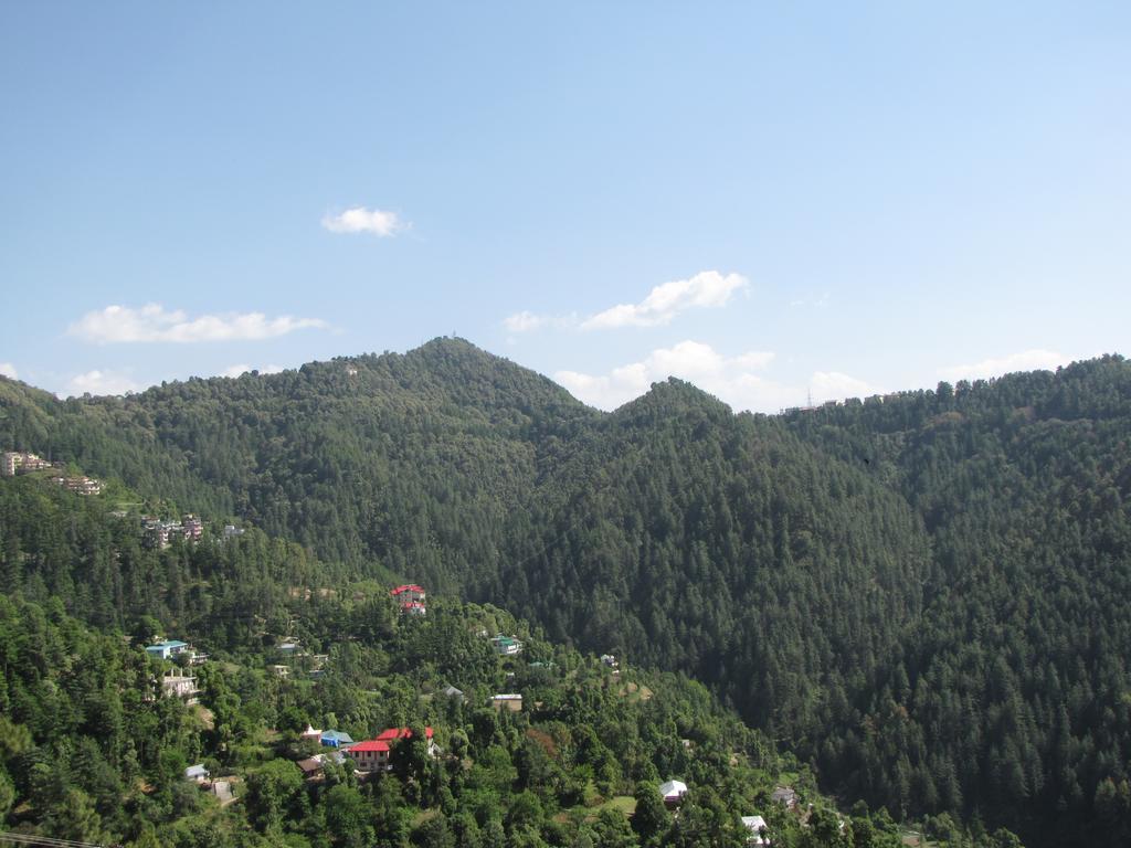 Shimla Nature Ville מראה חיצוני תמונה