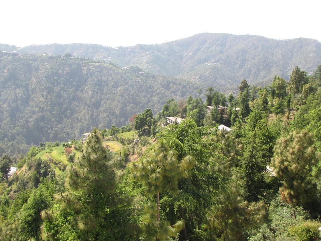 Shimla Nature Ville מראה חיצוני תמונה